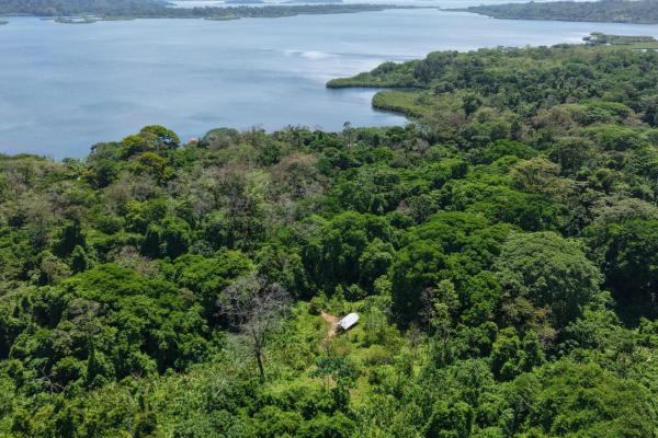 Retiro de finca de cacao de 14 hectáreas en tierra oscura