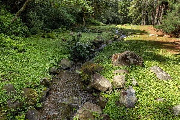 Finca frente al río bambito en venta | volcán panamá