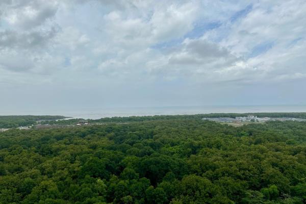 Se alquila apartamento en santa maria