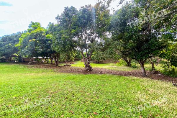 Venta de terreno en punta barco