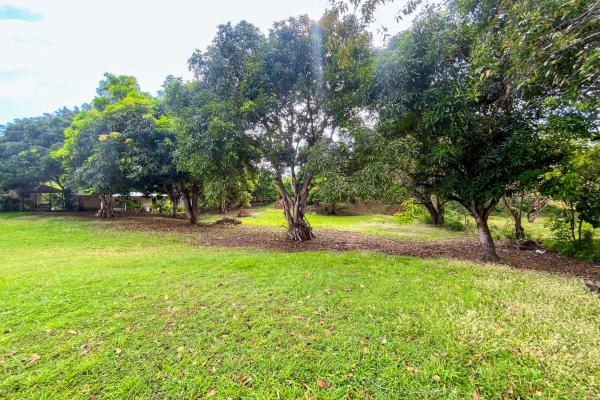 Venta de terreno en punta barco