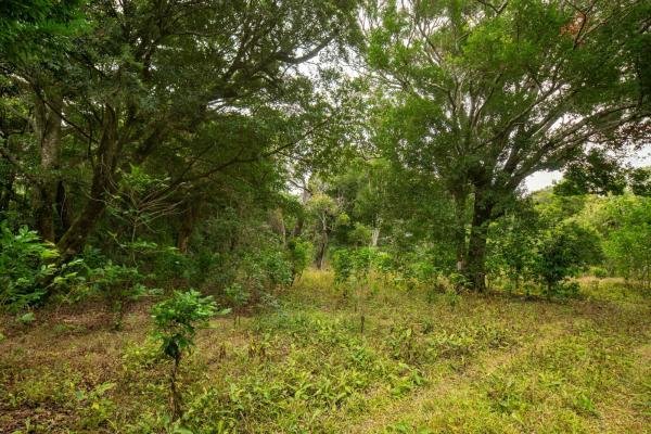 Terreno panorámico en boquete, panamá