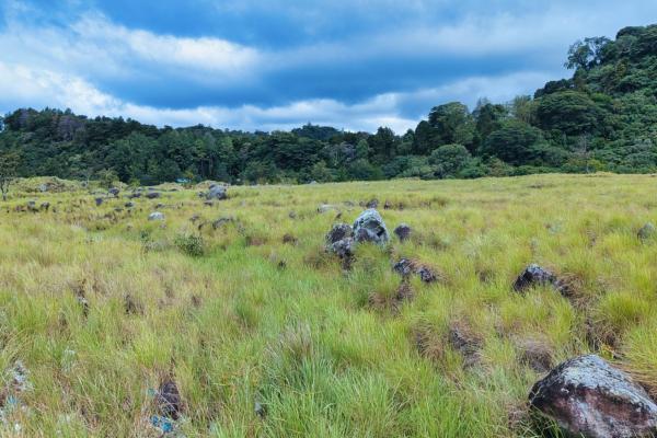 Large residential lot for sale – paso ancho