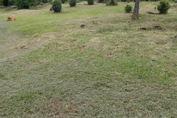 Venta de lote en volcancito boquete