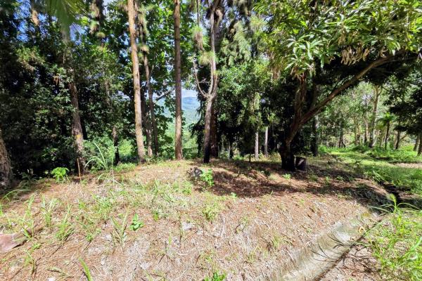 Land for sale in sorá chame