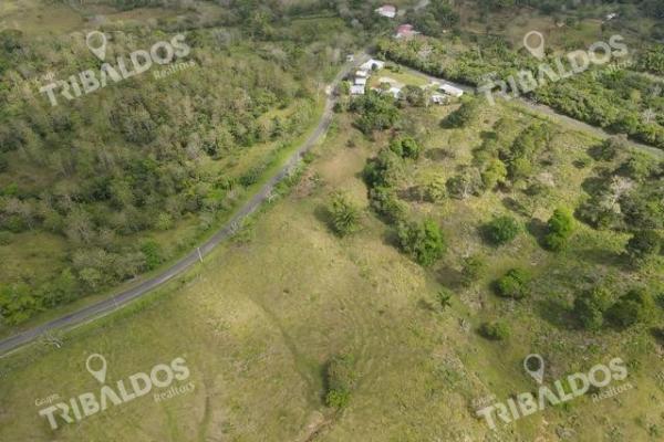 Finca en nuevo san juan , colón , 250 ha