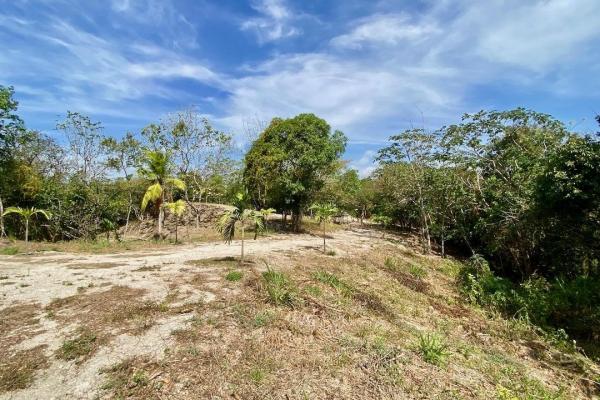 Finca de 4.3 hectareas – proyecto ideal comunidad