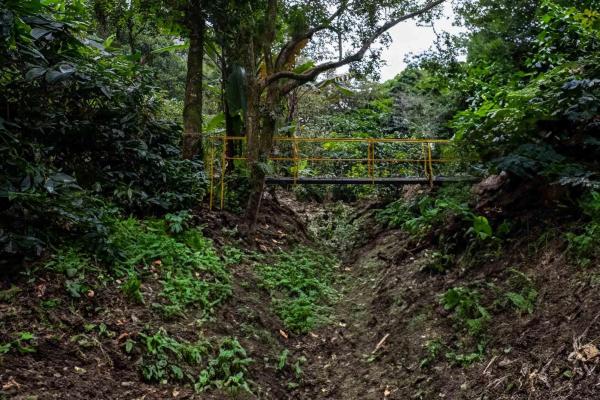 Finca de café y aguacate de boquete con vistas al volcán barú