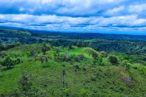 55.74 hectares of paradise in the mountains