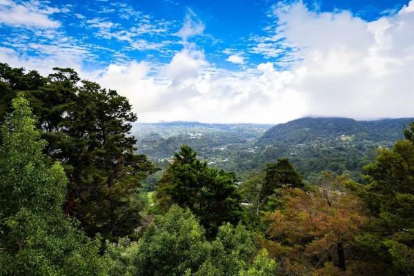 Cabaña con vistas al volcán barú en venta en jaramillo