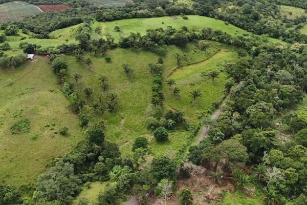 Land for sale in el trapichito, la chorrera