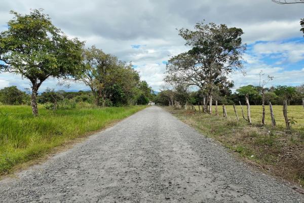 Prime flat land for sale in cochea abajo, david