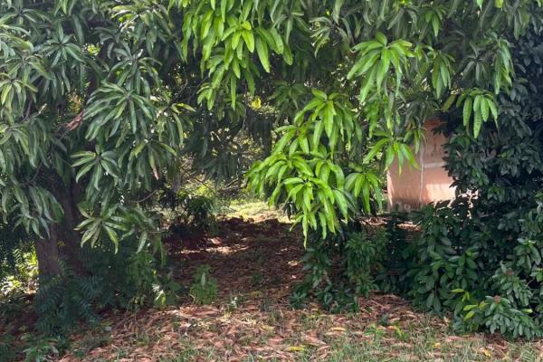 House with land for commercial development los san
