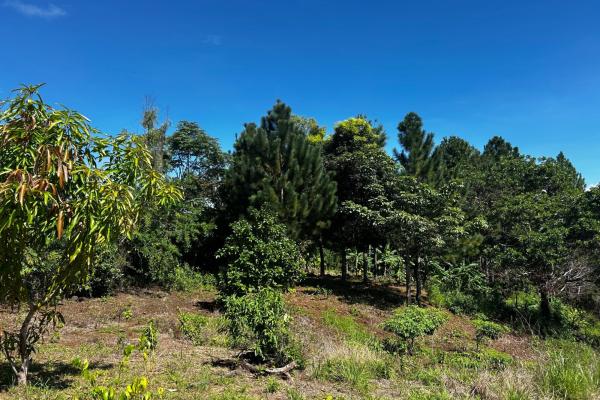 Hacienda de campo en 10.17 hectáreas, sorá
