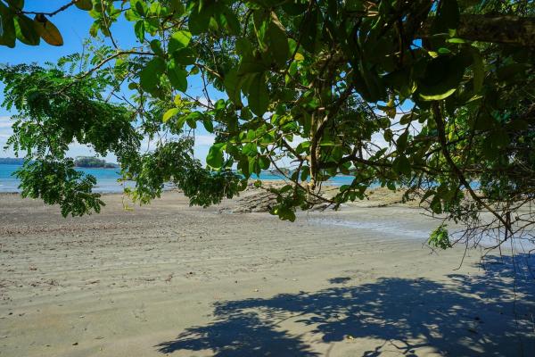 2-hectare beachfront property