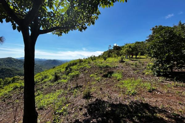 Hacienda de campo en 10.17 hectáreas, sorá