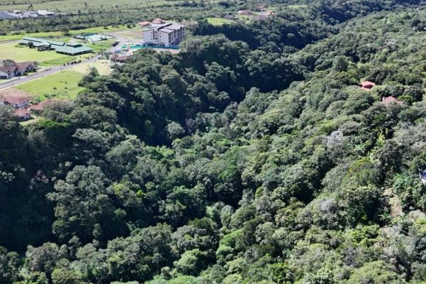 Terreno de 6,9 ha junto a boquete country club — venta de globo entero