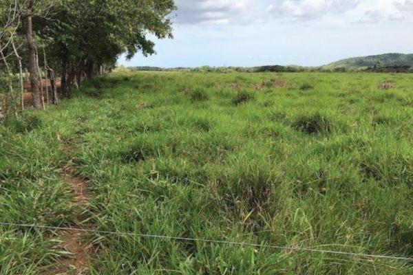 Venta de finca agrícola en ocú 128 hectáreas