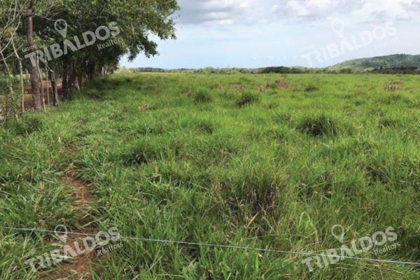 Venta de finca agrícola en ocú