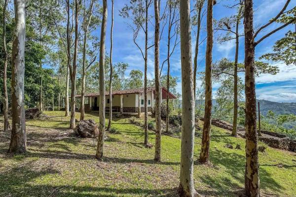 Amazing property for sale with private waterfalls