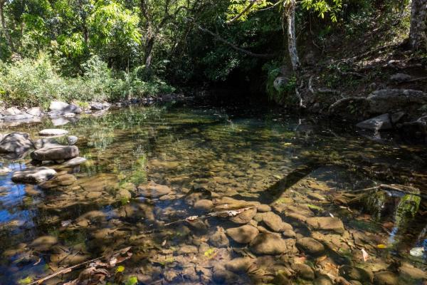 15 hectares fertile land potrerillos, chiriqui