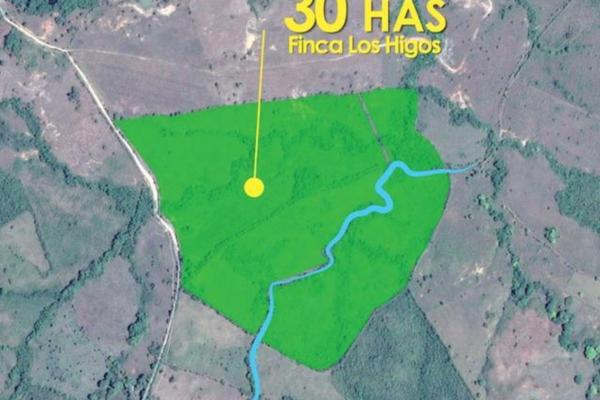 Venta de finca agrícola en ocú 128 hectáreas