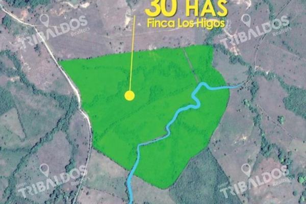 Venta de finca agrícola en ocú