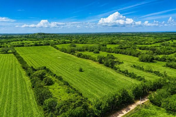 Se vende una extensa finca llana cerca de las tablas