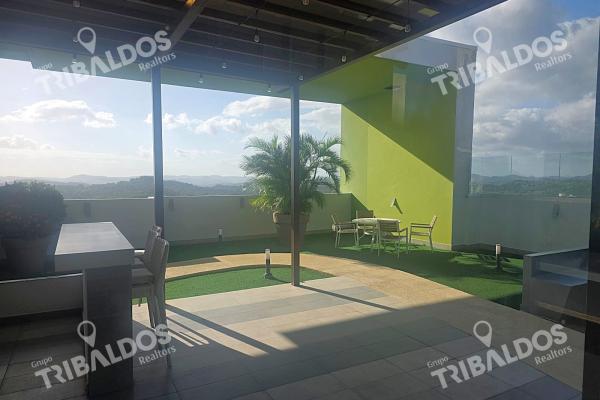 Sale of apartment in ph vivendi green