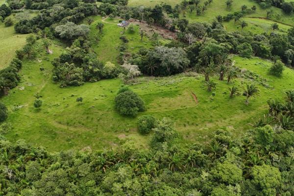 Se vende terreno para desarrollo residencial en el trapichito, la chorrera