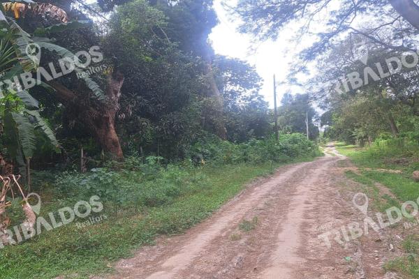 Venta de terreno en juan hombron con edificación