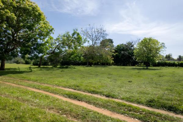 Four hectare property for urbanization in david