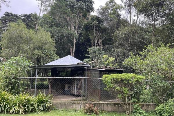 Beautiful park property in high-altitude location