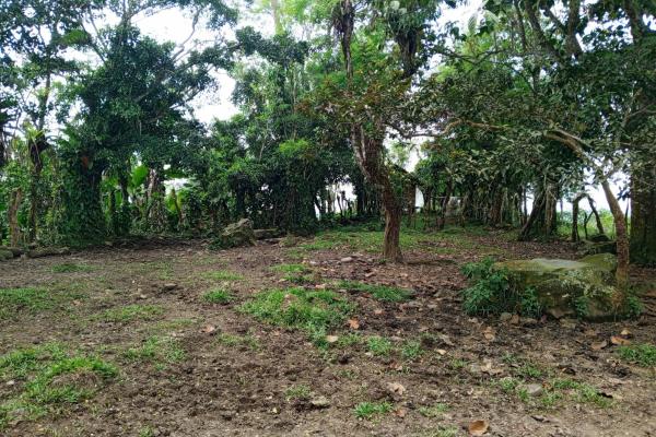 Finca en santa rosa para ganadería y agricultura