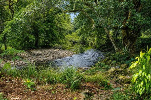 Private 7 hectare property with river near boquete