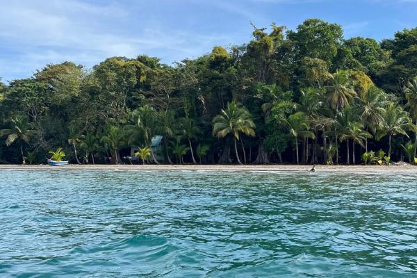 Beachfront off-grid home for sale