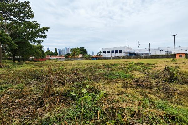 Commercial land for sale on ave. jose agustin a.
