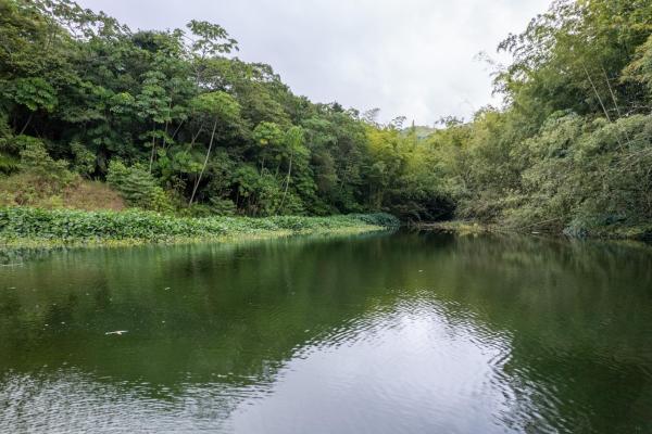 Spring-fed lake & 10 hectares for sale in rovira d