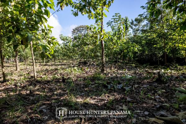 Terreno urbanizable de 11 hectáreas en venta - bagalá, panamá