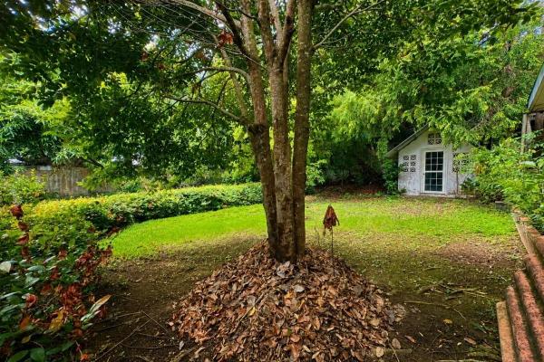 1,556 m² en las cumbres por solo $215,000