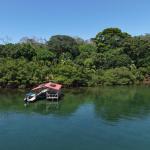 Retiro de finca de cacao de 14 hectáreas en tierra oscura