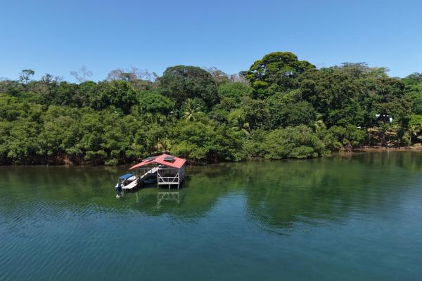 Retiro de finca de cacao de 14 hectáreas en tierra oscura