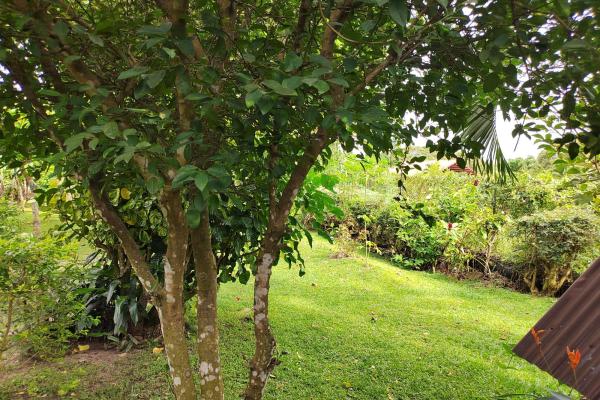Oasis vía el valle: casa de 4 hab, casita extra, piscina y amplio jardín