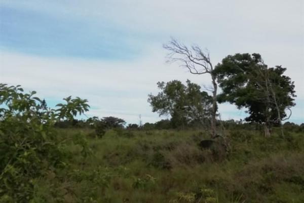Amplios 5 hectáreas en venta en alto boquete