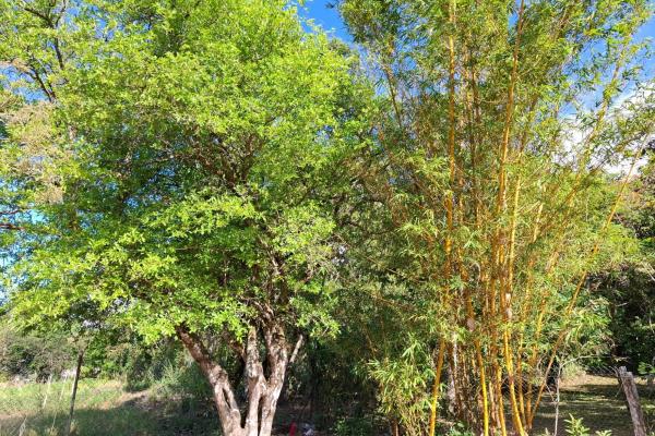 Exceptional mountain lot in el valle de antón!