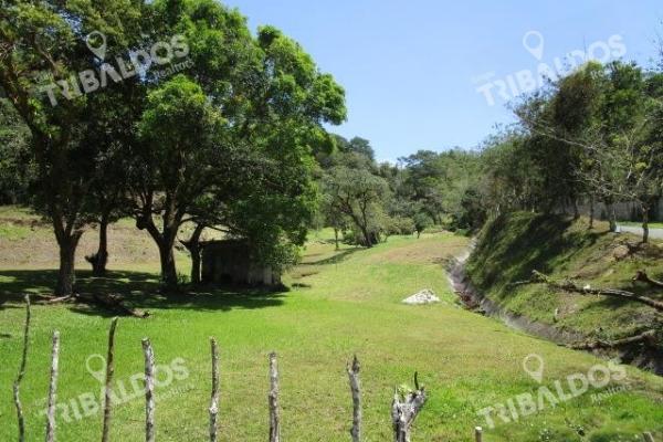 Venta de terreno en los llanitos, en el valle de antón