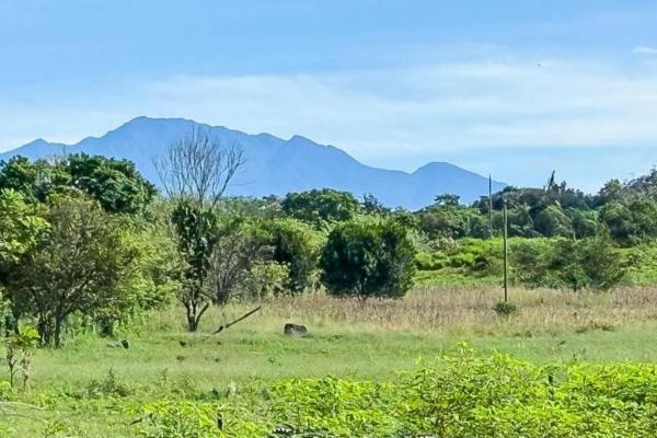 House for sale in bugaba chiriqui