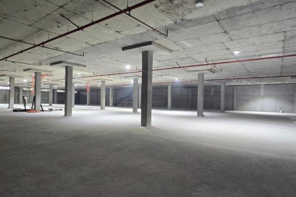 Alquiler de bodega en france field, zona libre de colón