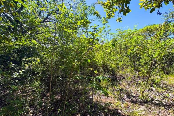Spacious 59,086 m² land in síndigo, caldera