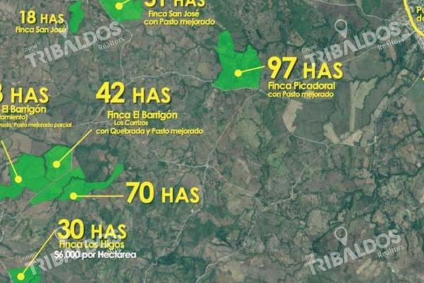 Venta de finca agrícola en ocú